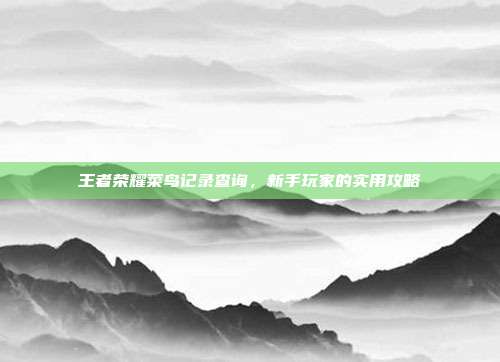 王者荣耀菜鸟记录查询,新手玩家的实用攻略