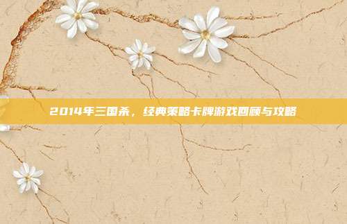 2014年三国杀，经典策略卡牌游戏回顾与攻略