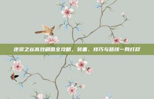 逆袭之谷高效刷图全攻略，装备、技巧与路线一网打尽