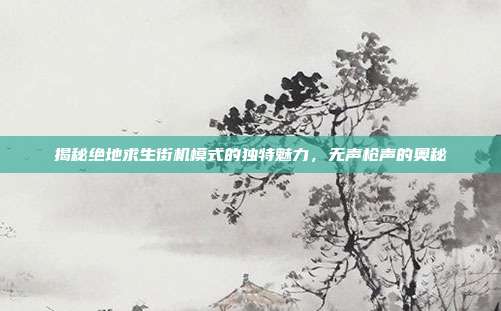 揭秘绝地求生街机模式的独特魅力,无声枪声的奥秘