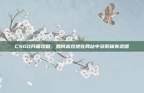 CSGO开箱攻略,如何高效地在网站中获取稀有武器