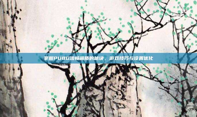 掌握PUBG流畅画质的秘诀,游戏技巧与设置优化