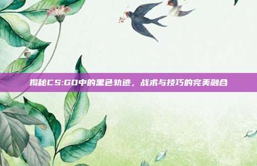 揭秘CS:GO中的黑色轨迹,战术与技巧的完美融合