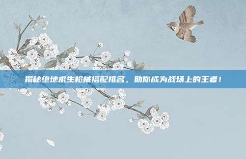 揭秘绝地求生枪械搭配排名,助你成为战场上的王者!
