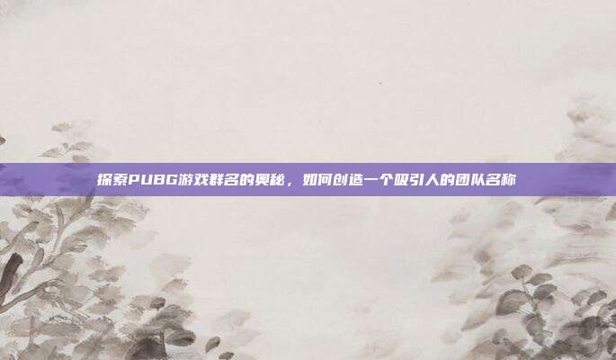 探索PUBG游戏群名的奥秘,如何创造一个吸引人的团队名称