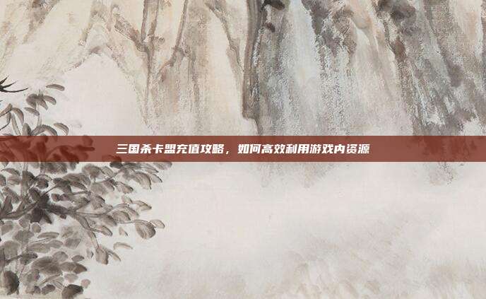 三国杀卡盟充值攻略,如何高效利用游戏内资源