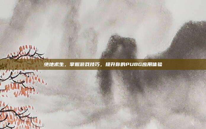 绝地求生，掌握游戏技巧，提升你的PUBG应用体验