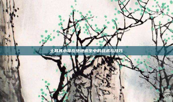 土耳其小哥在绝地求生中的战术与技巧