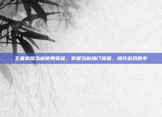 王者荣耀当前使用英雄，掌握当前热门英雄，提升游戏胜率