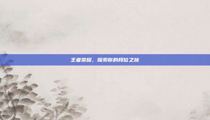 王者荣耀，探索你的段位之旅