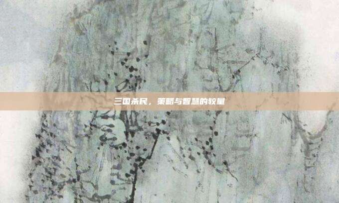 三国杀民，策略与智慧的较量
