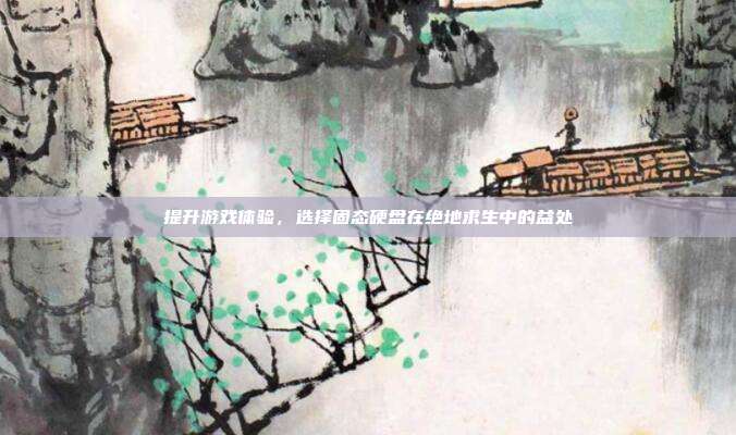 提升游戏体验，选择固态硬盘在绝地求生中的益处