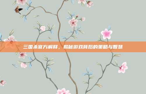 三国杀官方解释,揭秘游戏背后的策略与智慧