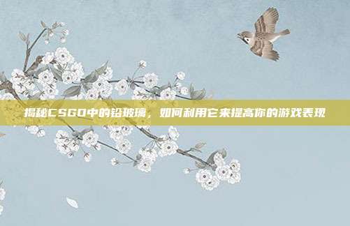 揭秘CSGO中的铅玻璃,如何利用它来提高你的游戏表现