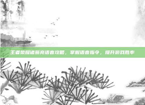 王者荣耀诸葛亮语音攻略,掌握语音指令,提升游戏胜率