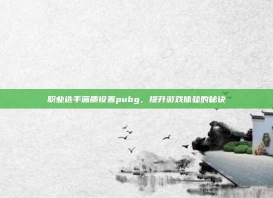 职业选手画质设置pubg,提升游戏体验的秘诀