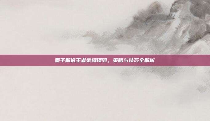 墨子解说王者荣耀项羽,策略与技巧全解析