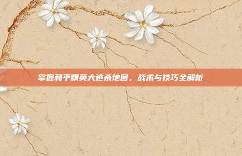 掌握和平精英大逃杀地图,战术与技巧全解析