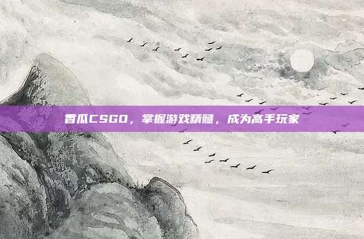 香瓜CSGO,掌握游戏精髓,成为高手玩家