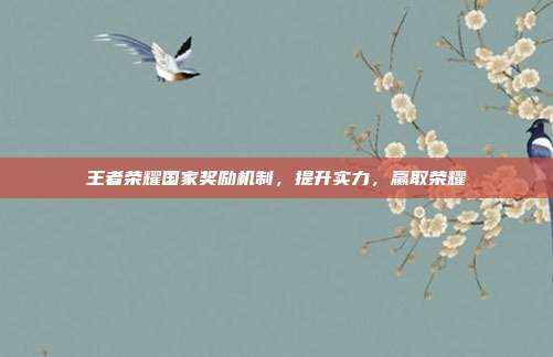 王者荣耀国家奖励机制,提升实力,赢取荣耀