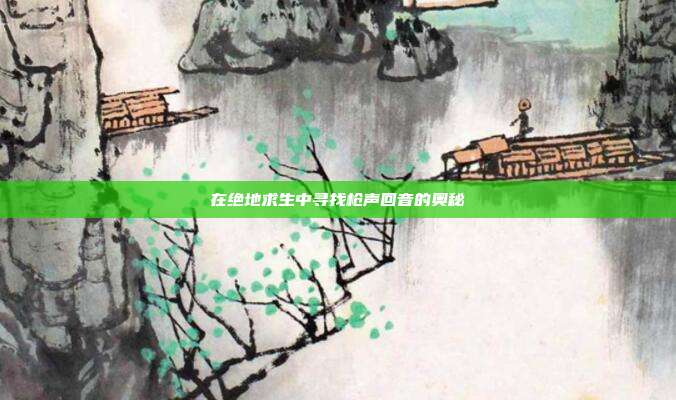 在绝地求生中寻找枪声回音的奥秘