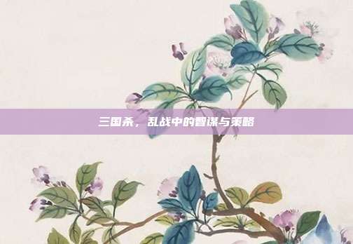三国杀,乱战中的智谋与策略