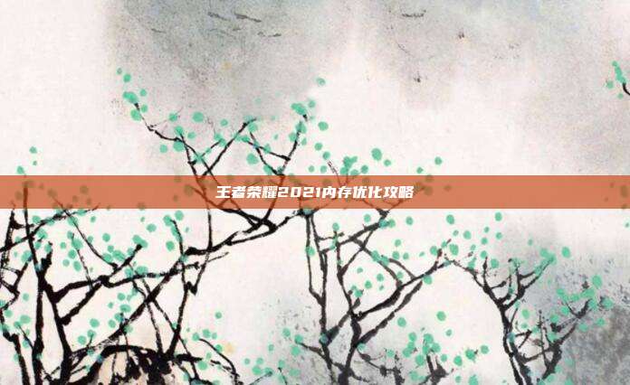 王者荣耀2021内存优化攻略