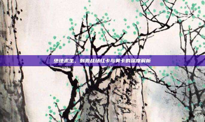 绝地求生,刺激战场红卡与黄卡的深度解析