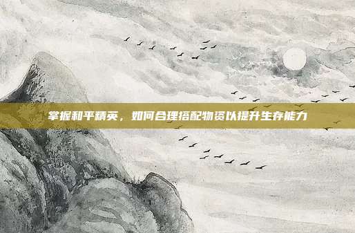 掌握和平精英,如何合理搭配物资以提升生存能力