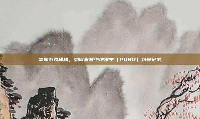 掌握游戏秘籍,如何查看绝地求生(PUBG)封号记录