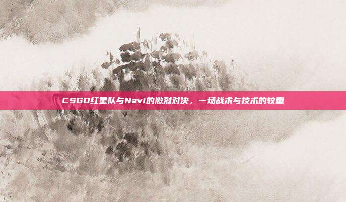 CSGO红星队与Navi的激烈对决,一场战术与技术的较量