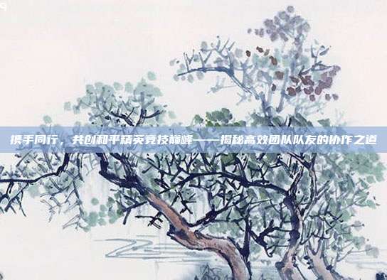 携手同行,共创和平精英竞技巅峰——揭秘高效团队队友的协作之道
