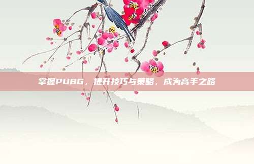 掌握PUBG,提升技巧与策略,成为高手之路