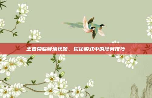 王者荣耀穿墙视频，揭秘游戏中的隐身技巧