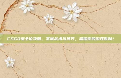 CSGO安全位攻略,掌握战术与技巧,确保你的游戏胜利!