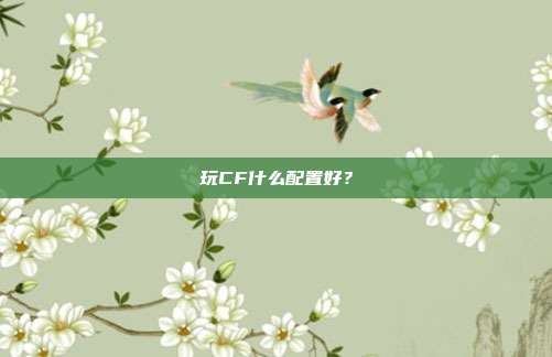 玩CF什么配置好?