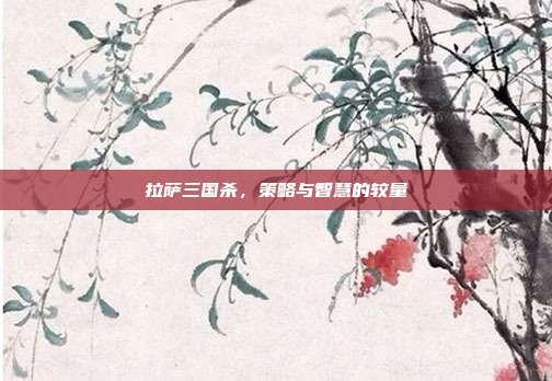 拉萨三国杀,策略与智慧的较量