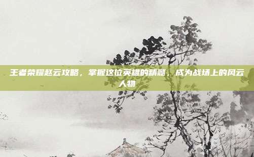 王者荣耀赵云攻略,掌握这位英雄的精髓,成为战场上的风云人物