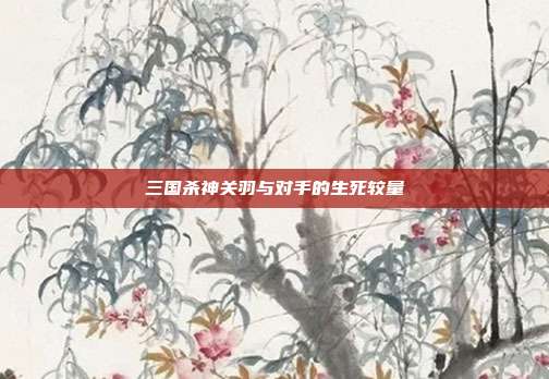 三国杀神关羽与对手的生死较量
