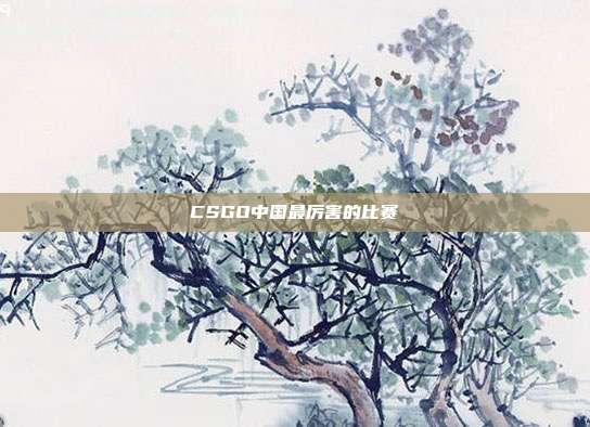 CSGO中国最厉害的比赛