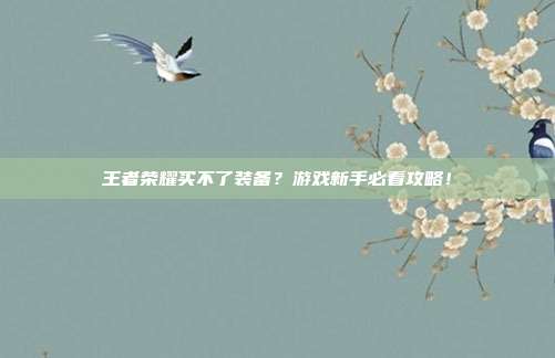 王者荣耀买不了装备？游戏新手必看攻略！