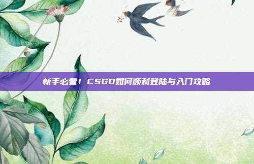 新手必看!CSGO如何顺利登陆与入门攻略