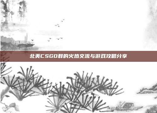 北美CSGO群的火热交流与游戏攻略分享