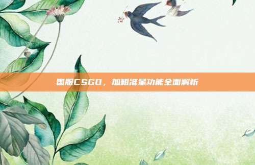 国服CSGO,加粗准星功能全面解析
