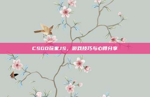 CSGO玩家JS,游戏技巧与心得分享