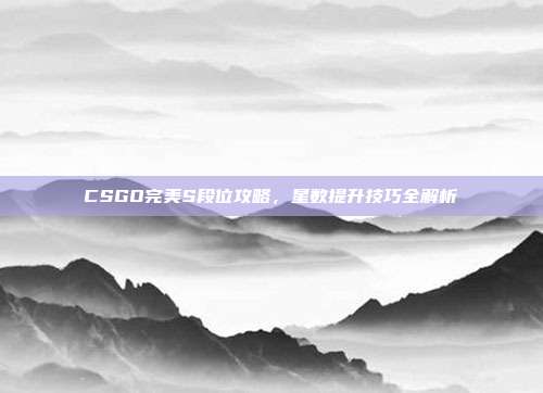 CSGO完美S段位攻略，星数提升技巧全解析
