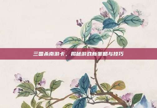 三国杀南游卡,揭秘游戏新策略与技巧