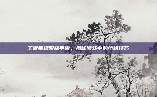 王者荣耀跟踪手雷,揭秘游戏中的终极技巧