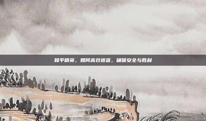 和平精英,如何高效巡查,确保安全与胜利