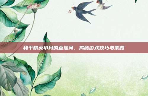 和平精英小月的直播间,揭秘游戏技巧与策略